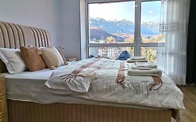 Tutu Studio Sinaia cu vedere panoramica Early Checkin